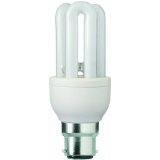 Compact Fluorescent Lamp (CFL)